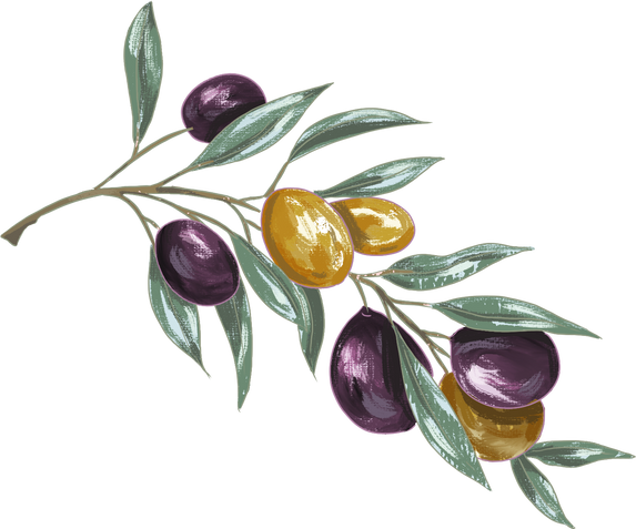 Painterly Hanukkah Olive Branch